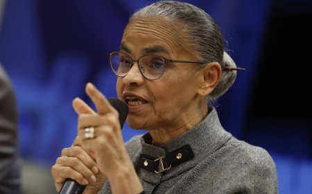 Marina Silva defende substitutivo ao veto do licenciamento ambiental