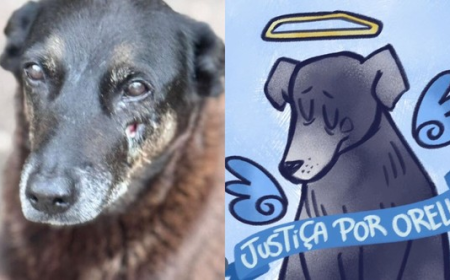 Abaixo-assinado pela punição de quem assassinou o Orelha.