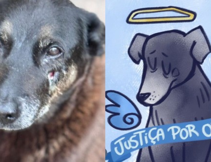 Abaixo-assinado pela punição de quem assassinou o Orelha.