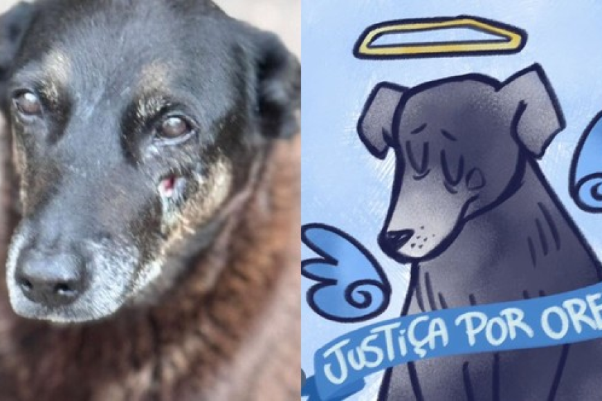 Abaixo-assinado pela punição de quem assassinou o Orelha.