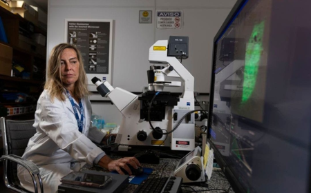 Não há, no Brasil, nenhuma mulher tão relevante quanto Tatiana Sampaio.