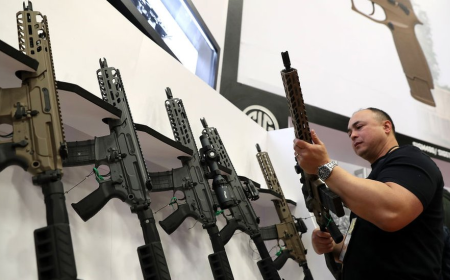 Liberação do porte de arma para cidadãos comuns