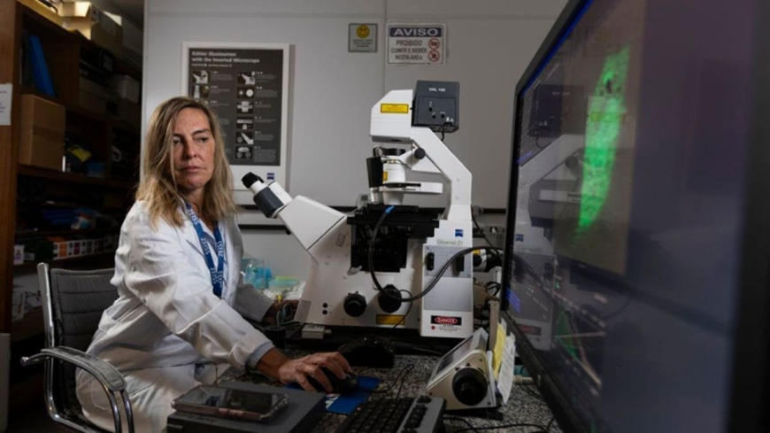 Não há, no Brasil, nenhuma mulher tão relevante quanto Tatiana Sampaio.